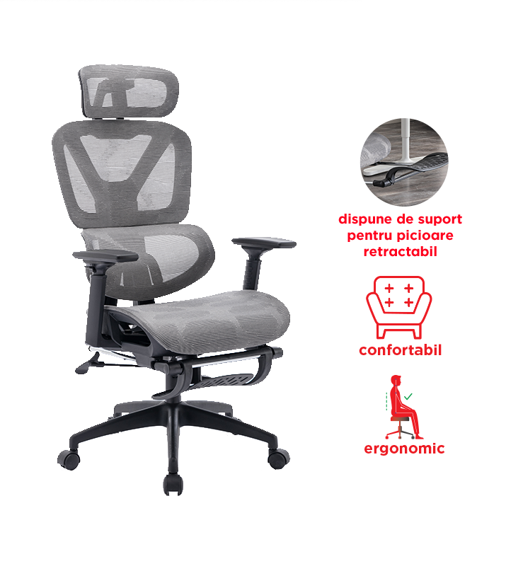 Scaun de birou L742 - Main Image