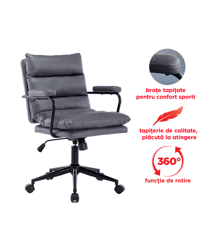 Scaun de birou L705 - Main Image