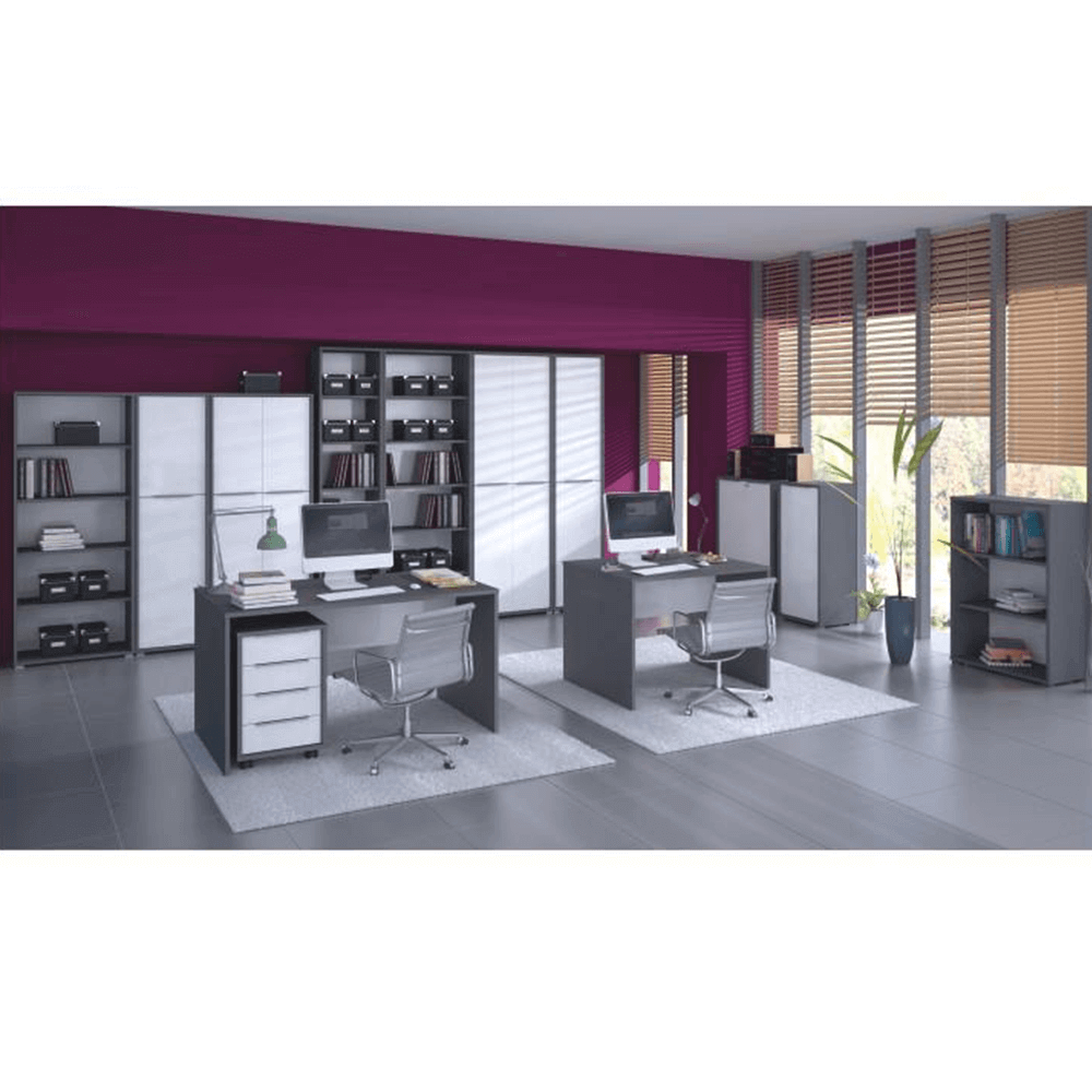 Dulap cu încuietoare, grafit/alb, RIOMA NEW TIPUL 31