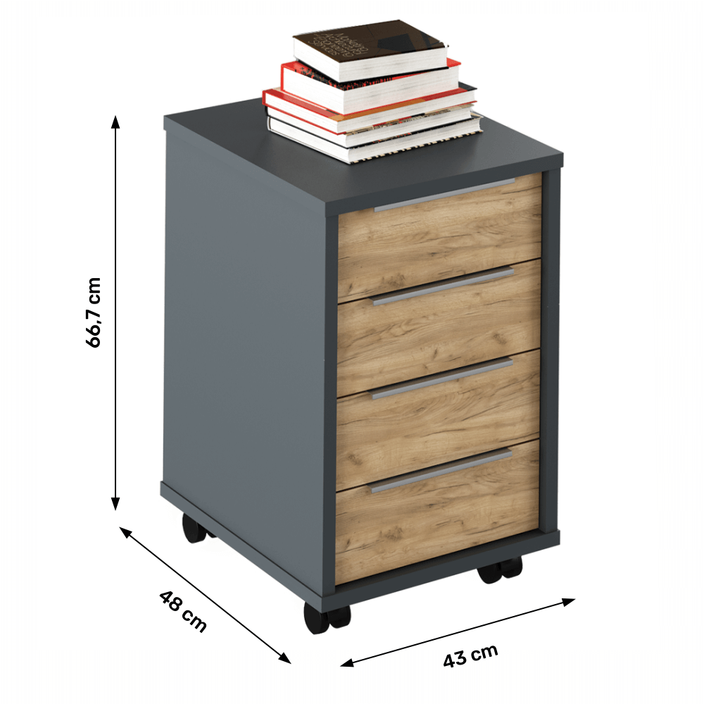 Container, grafit/stejar artisan, RIOMA NEW TYP 14