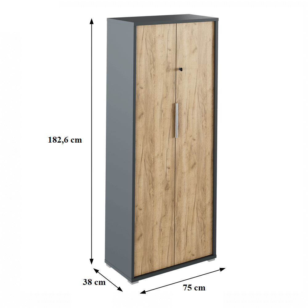 Dulap cu lacăt, grafit / stejar artizanal, RIOMA NEW TYP 31