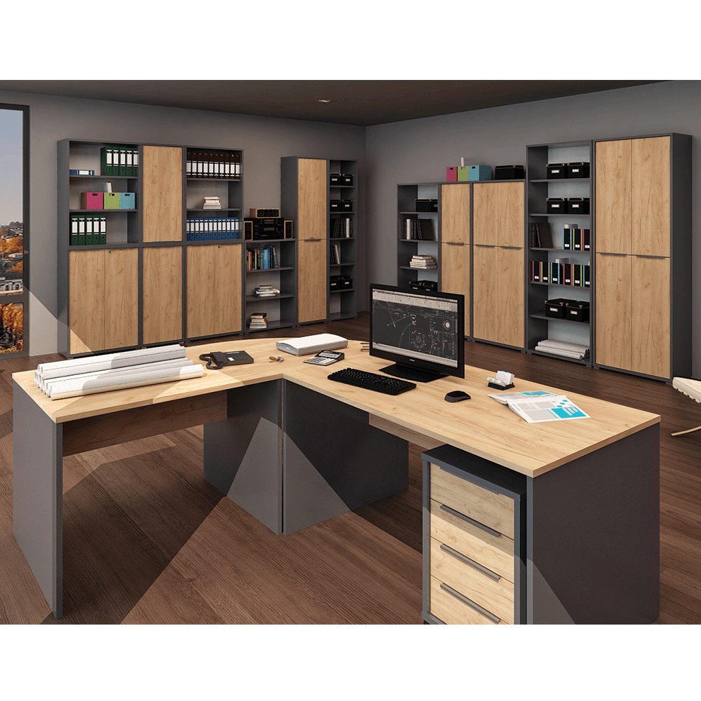 Dulap, grafit/stejar artisan, RIOMA NEW TYP 10