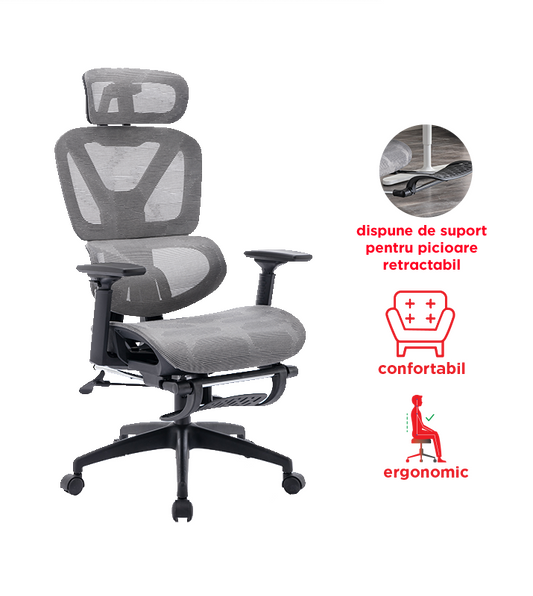 Scaun de birou L742 - Main Image