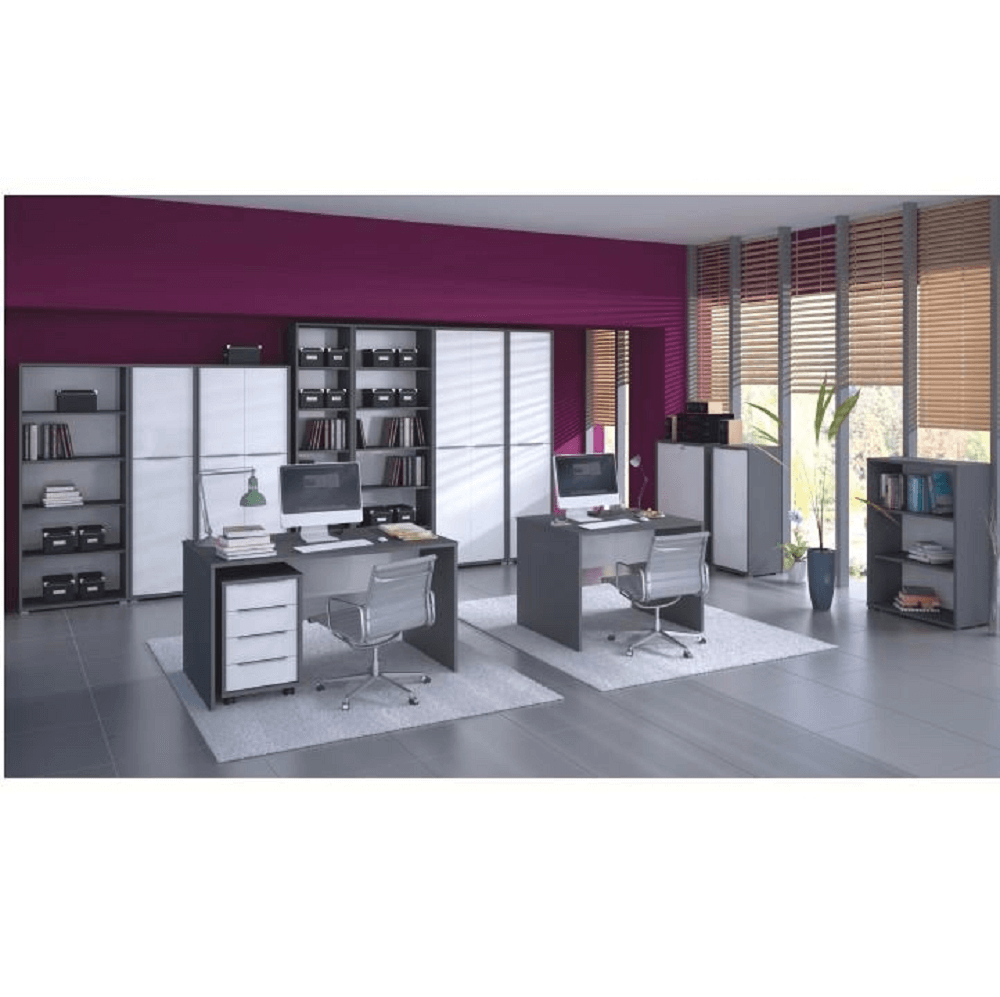 Dulap biblioraft, grafit, RIOMA NEW TYP 03