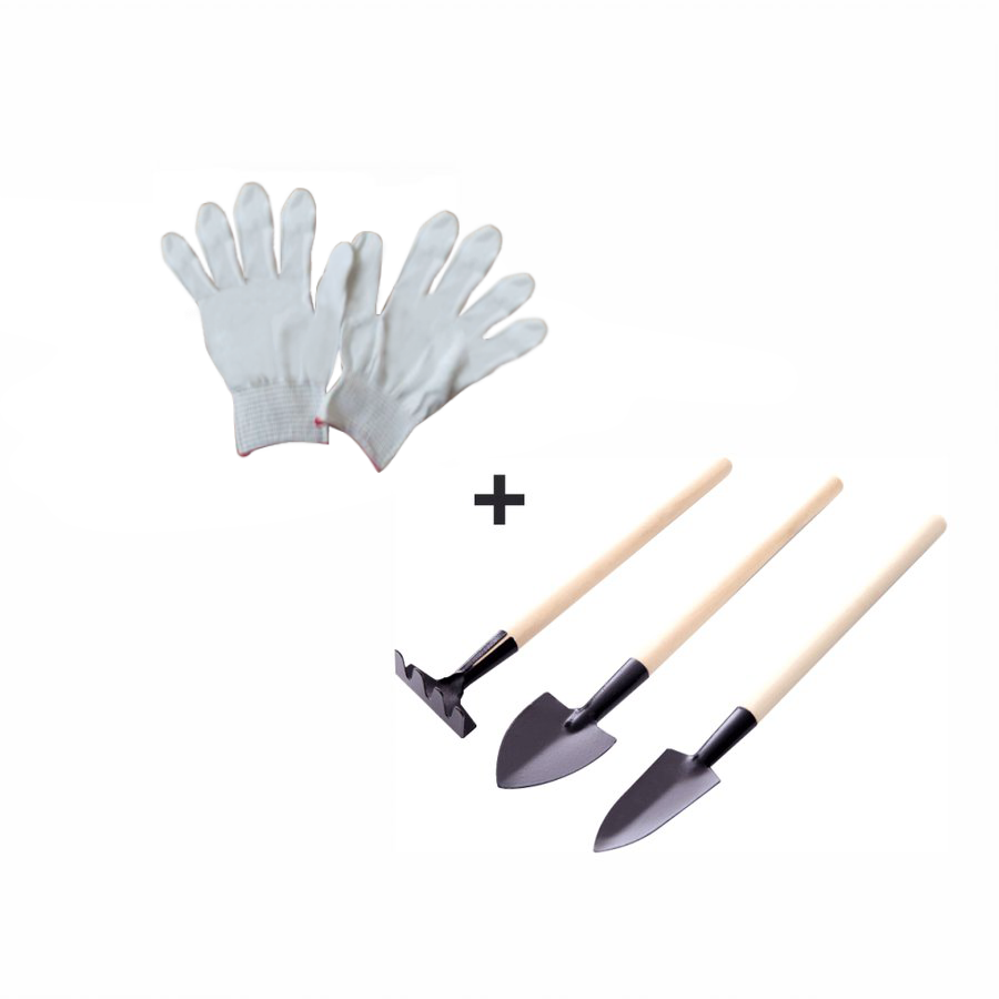 Raft, alb, NEPEL TYP 2 + cadou