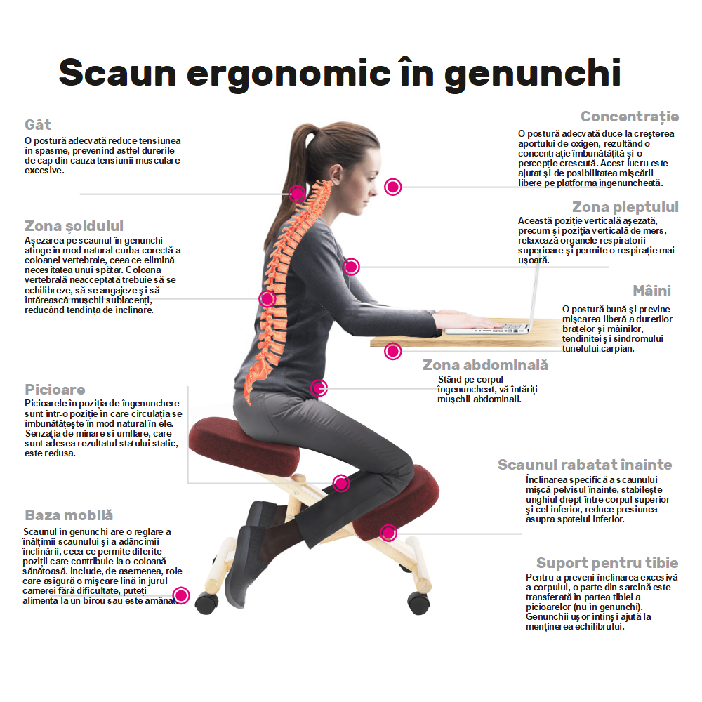 Scaun genunchi ergonomic, gri-maro Taupe / fag, FLONET