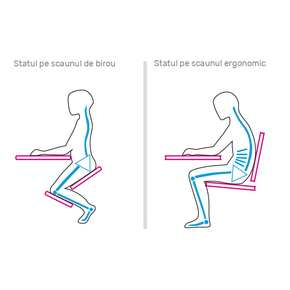 Scaun ergonomic, maro / fag, FLONET